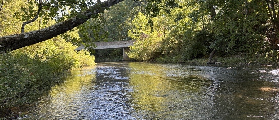 Bald Eagle Creek looking upstream to the Julian bridge access on a sunlit morning